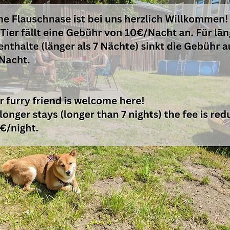 H1 - Urlaubsmagie - Pool & Terrasse Zum Entspannen Sebnitz Exteriér fotografie