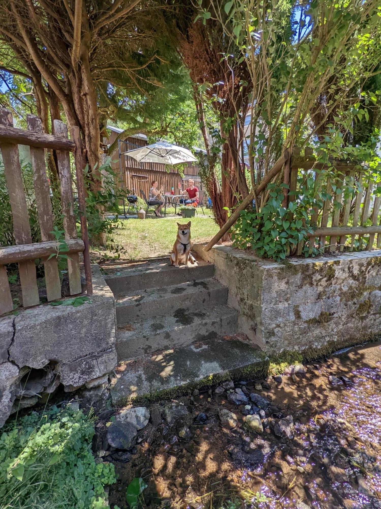 H1 - Urlaubsmagie - Pool & Terrasse Zum Entspannen Sebnitz Exteriér fotografie